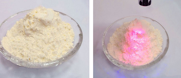 ��������ӫ���