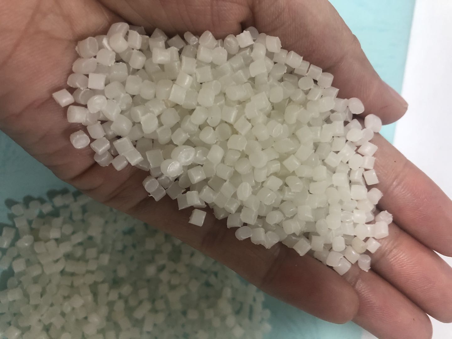 ���ϴ����ڼ�